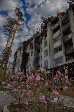 Ukrayna 'daki Rus işgalinin sonuçları