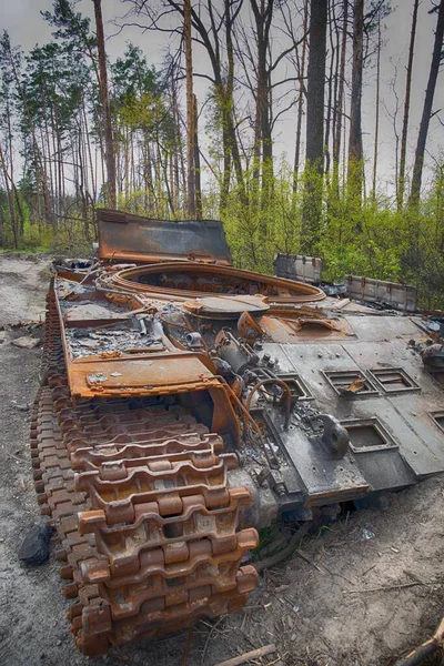 Ukrayna 'daki Rus işgalinin sonuçları