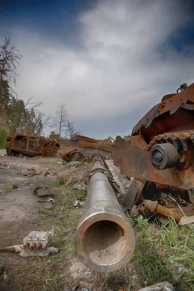 Ukrayna 'daki Rus işgalinin sonuçları