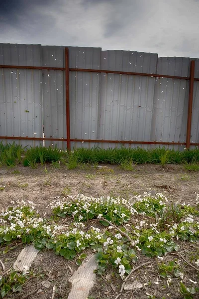 Ukrayna 'daki Rus işgalinin sonuçları