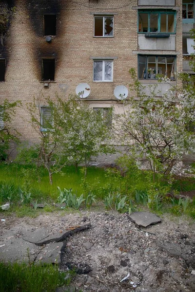 Ukrayna 'daki Rus işgalinin sonuçları