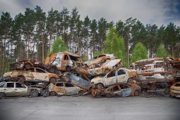 Ukrayna 'daki Rus işgalinin sonuçları