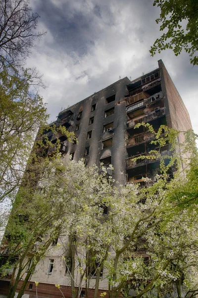 Ukrayna 'daki Rus işgalinin sonuçları