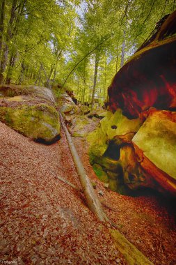 Ukrayna Karpat Dağlarının Fotoğrafları