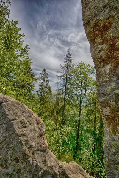 Ukrayna Karpat Dağlarının Fotoğrafları