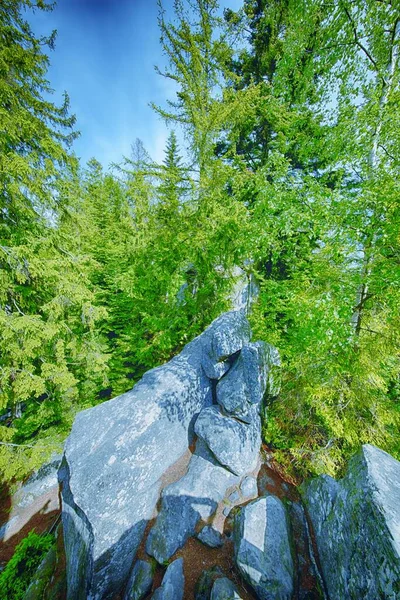 Ukrayna Karpat Dağlarının Fotoğrafları