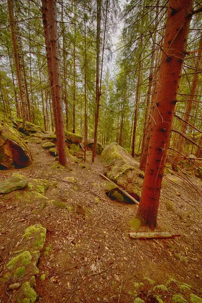 Ukrayna Karpat Dağlarının Fotoğrafları