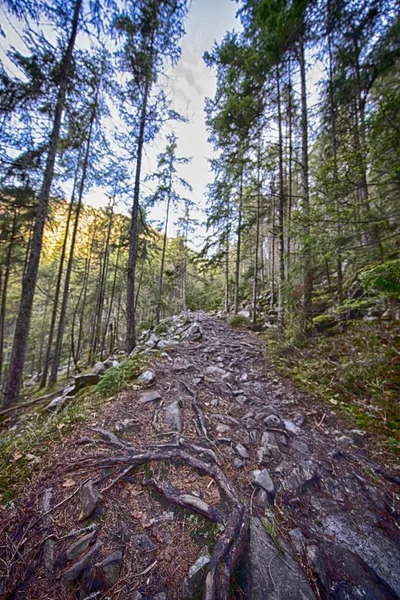Ukrayna Karpat Dağlarının Fotoğrafları