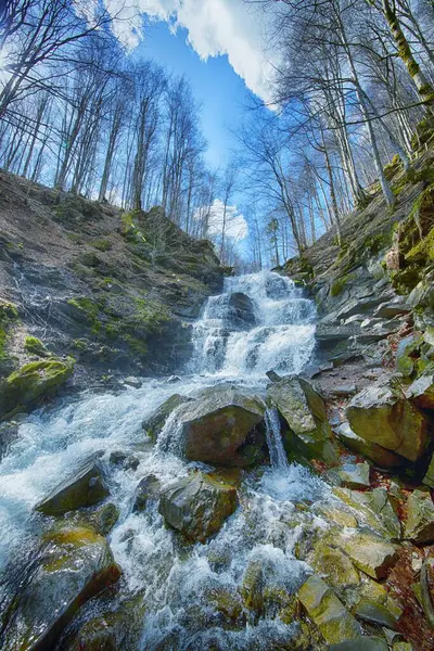 Ukrayna Karpat Dağlarının Fotoğrafları