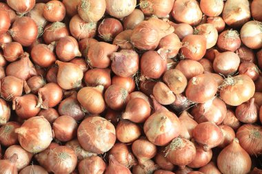 Bangladeş pazarında açık kahverengi soğan