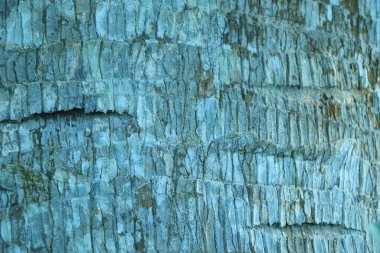 Eski Ağaç Yapısı Arkaplan Şablonu