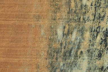 Tahtalardan arkaplan, tahta arkaplan