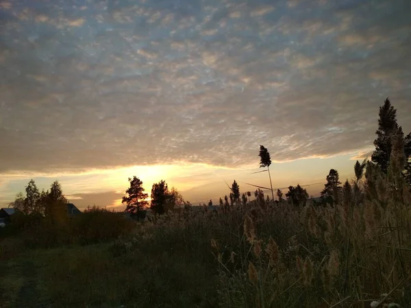 Солнечный Дождь Отражается Облаков Освещает Поле Лес Сентябрьским Вечером — стоковое фото
