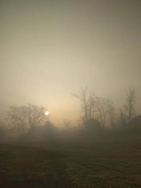 Lever Soleil Arbres Maisons Sur Fond Matin Automne Brumeux — Photo