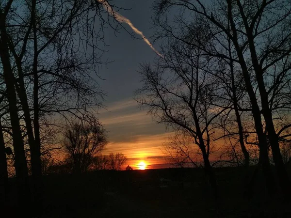 Arbres Route Pont Sur Fond Coucher Soleil Automne Lumineux — Photo