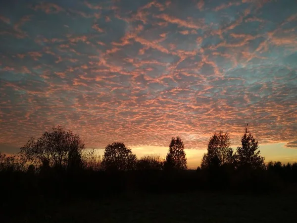Fák Bokrok Gyönyörű Őszi Naplemente Hátterében Gyönyörű Felhők Tükrözik Sugarakat — Stock Fotó