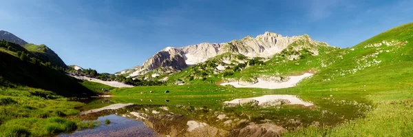 Zeltlager am grün blühenden Ufer eines von Berggipfeln umgebenen Bergsees Stockfoto