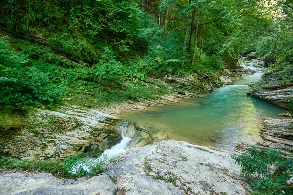 Fluss im Wald mit Laub und Steinen. lizenzfreie Stockbilder