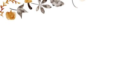 Frame with hand-drawn leaves appearing from outside the screen