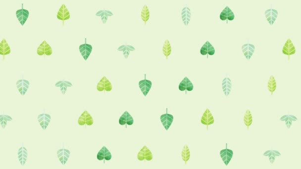 Simple Leaves Illustration Background — Stock Video