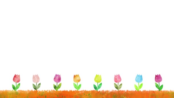 Анімація Акварельних Тюльпанів Білому Тлі — стокове відео