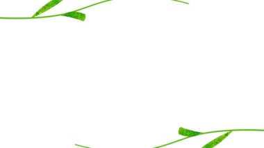 Spring floral frame; animation of colorful flowers blooming
