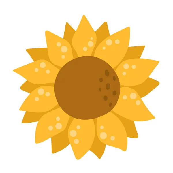 Sunflower isolated, sticker or icon for design decoration, can be used on packaging — Stock Vector