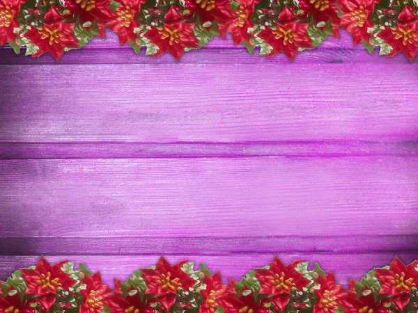 Winter Wooden Purple Magenta Orchid Nature Background Poinsettia Two Sides — стокове фото