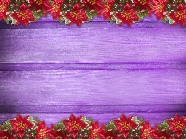 Winter Wooden Purple Magenta Orchid Nature Background Poinsettia Two Sides — Stockfoto