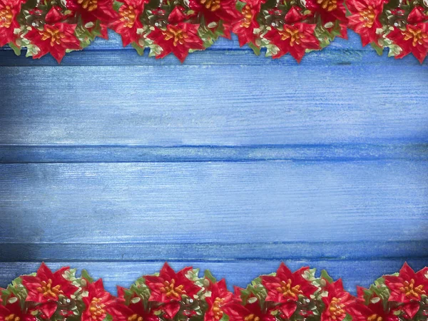 Inverno Legno Blu Natura Sfondo Con Poinsettia Due Lati Texture — Foto Stock