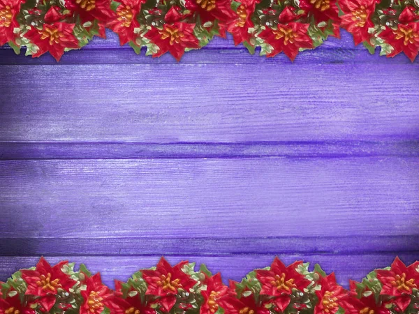 Winter Wooden Purple Magenta Lilac Nature Background Poinsettia Two Sides — Stockfoto