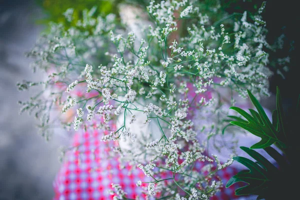 Картинка Бутіка Біла Сушена Квітка Вазі Прикраси Будинку — стокове фото