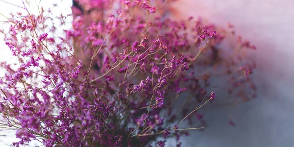 家の装飾のための花瓶に紫色のドライフラワーの写真 — ストック写真