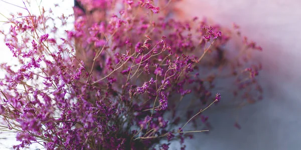 Immagine Della Boutique Viola Fiore Essiccato Nel Vaso Decorazione Domestica — Foto Stock