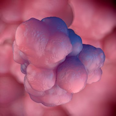 3d illüstrasyon - Pluripotent Kök Hücreler