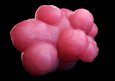 3d illüstrasyon - Pluripotent Kök Hücreler