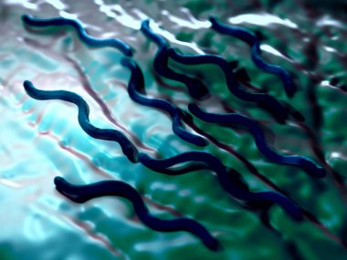 3D illüstrasyon - Borrelia Burgdorferi Bakteri