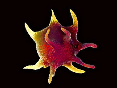3D illüstrasyon - Etkin trombositler