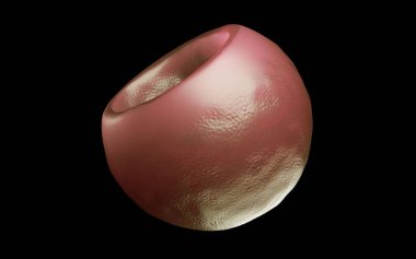 3d illüstrasyon - Bakteri Hücreleri