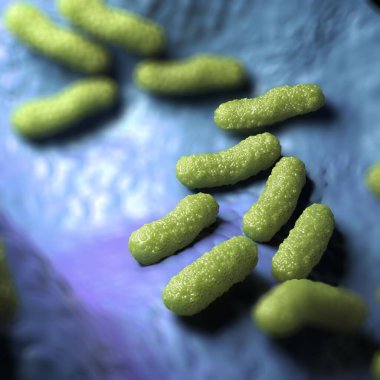 3d illüstrasyon - Escherichia Coli Bakterisi