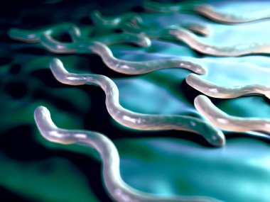 3D illüstrasyon - Borrelia Burgdorferi Bakteri