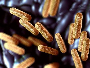 3D illüstrasyon - Salmonella Typhimurium Bakterisi