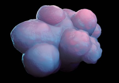 3d illüstrasyon - Pluripotent Kök Hücreler