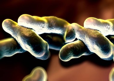 3D illüstrasyon - Kampülobacter Jejuni Bakterisi