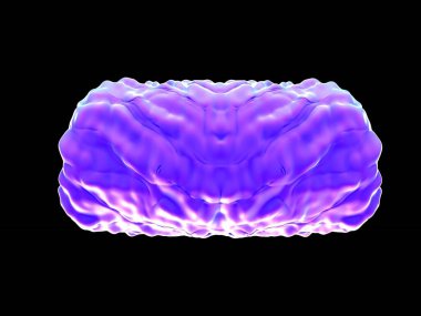 3D illüstrasyon - Alstroemeria bir diğeri ve polen