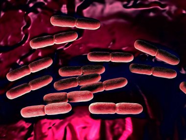 3d illüstrasyon - Lactobacillus Bulgaricus Bakterisi