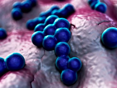 3d illüstrasyon - MRSA Bakteri veya Süper Böcek Bakterisi