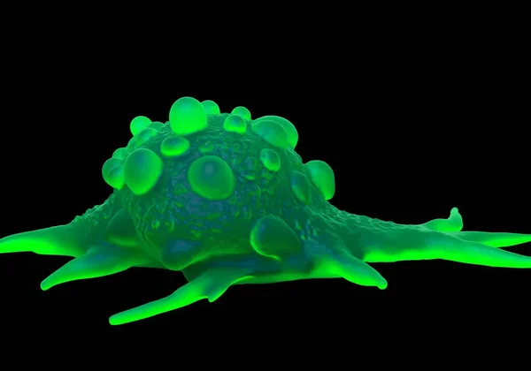 3D illüstrasyon - Mesane kanseri hücreleri