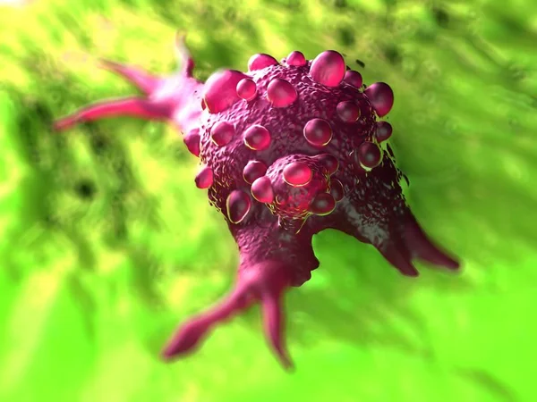 3D illüstrasyon - Mesane kanseri hücreleri