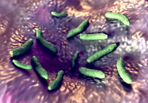 3Dイラスト ロッド型細菌 — ストック写真